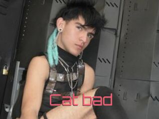 Cat_bad