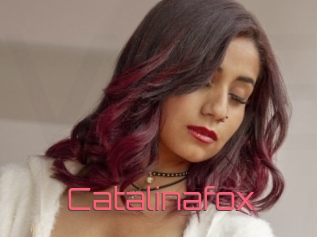 Catalinafox