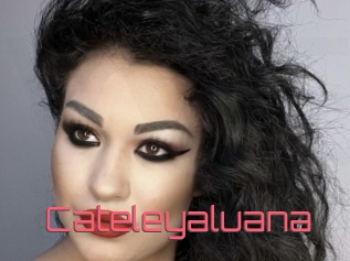 Cateleyaluana