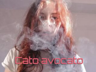Cato_avocato
