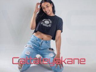 Cattaleyakane