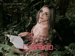 ciarario Webcam Sexe Direct
