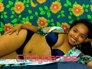 Cindybarnes