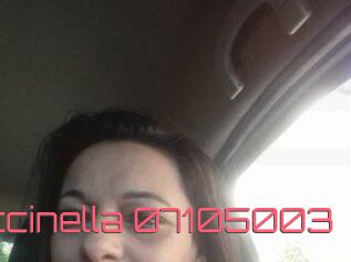 Coccinella-07105003