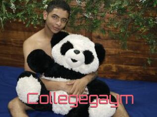 Collegegaym