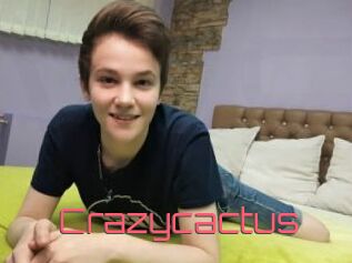 Crazycactus