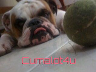 Cumalot4u