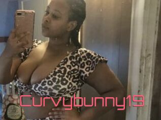 Curvybunny19
