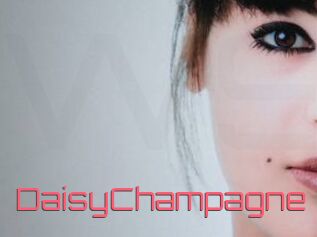 DaisyChampagne
