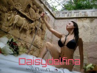 Daisydelfina