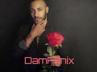 DamFenix