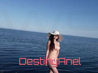 DestinyAnel