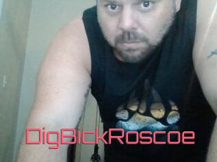 DigBickRoscoe