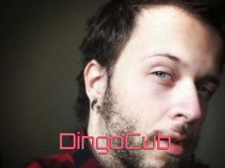 DingoCub