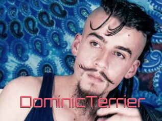 DominicTerrier
