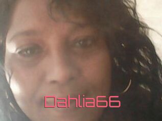 Dahlia66