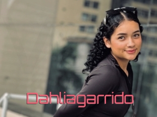 Dahliagarrido
