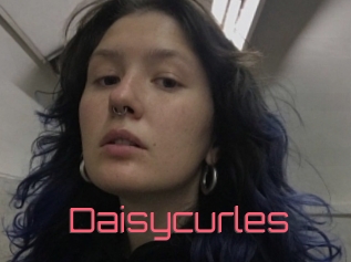 Daisycurles
