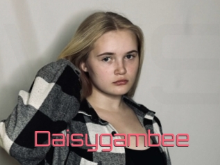 Daisygambee
