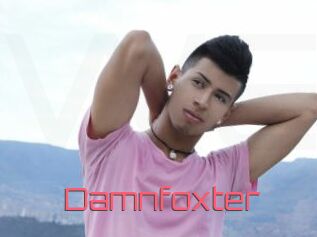 Damnfoxter