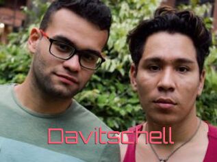 Davitschell