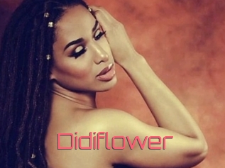 Didiflower