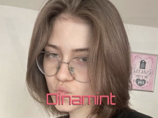 Dinamint