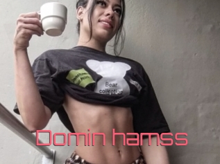 Domin_hamss