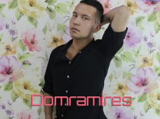 Domramires