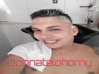 Donnatelohorny