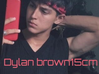 Dylan_brown15cm