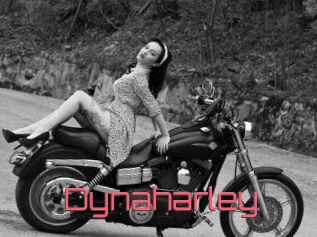 Dynaharley