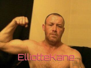 Elliotte_Kane