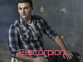 Elscorpion