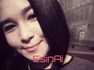EsinAi