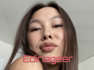 Edinageer