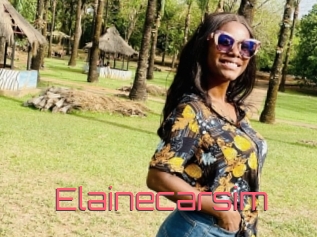 Elainecarsim