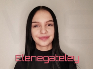 Elenegateley