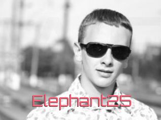 Elephant25