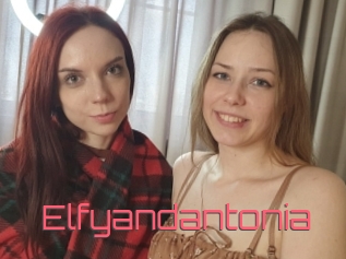 Elfyandantonia