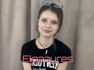 Elgaayres