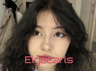 Elgacarls
