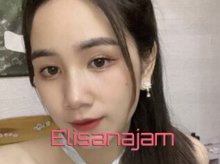 Elisanajam