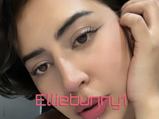 Elliebunny1
