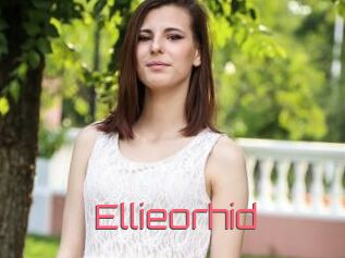 Ellieorhid