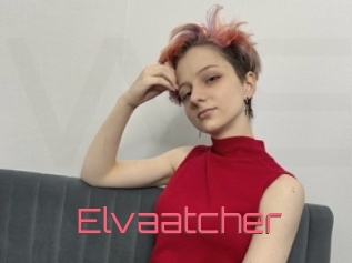 Elvaatcher