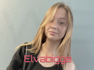 Elvabigge