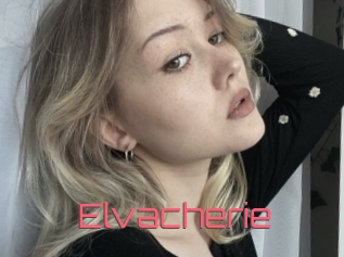 Elvacherie