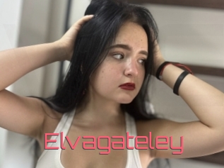 Elvagateley