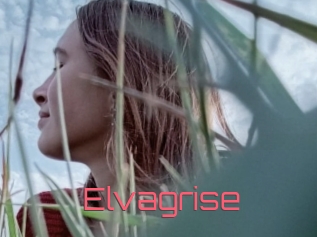 Elvagrise